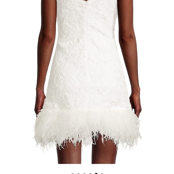 Likely Dresses & Skirts - Mari feathered trim mini dress size 00